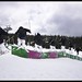 William Stepp Photo 8