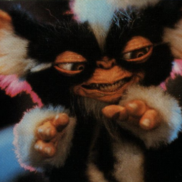 Michelle Gough Photo 15