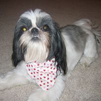 Janet Bressler Photo 4