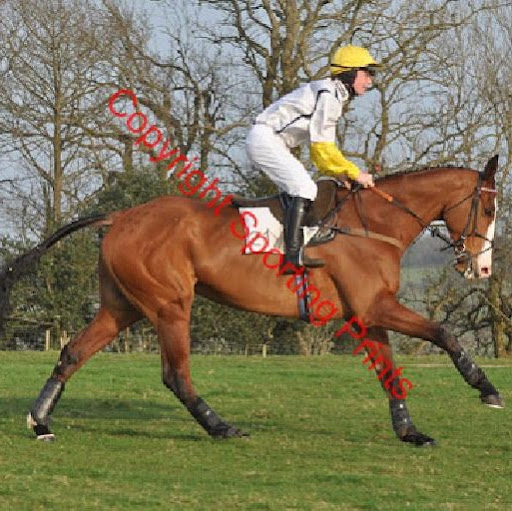 Robert Flint Photo 20