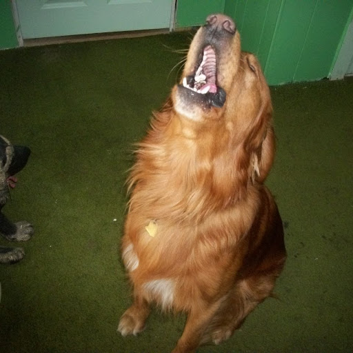 Wayne Conner Photo 14