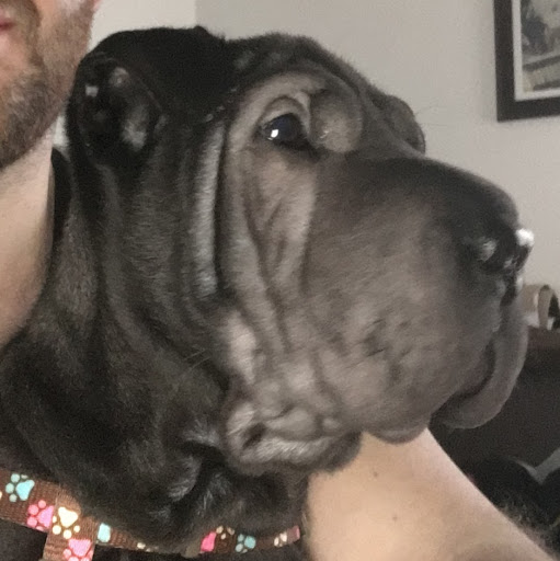 Josh Austin Photo 29