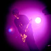 Anthony Klein Photo 9