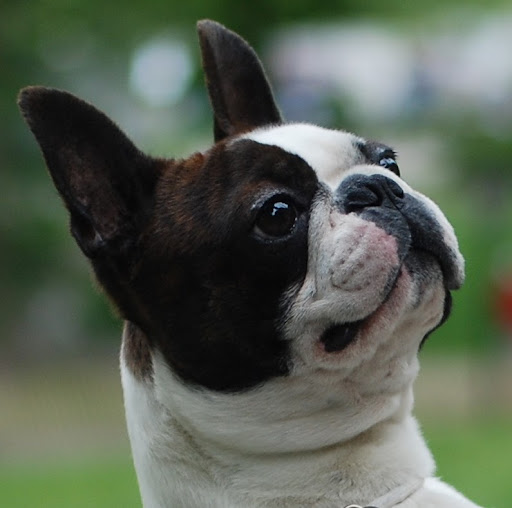 Margaret Noble Photo 41