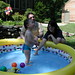 Angela Wade Photo 26