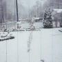Deborah Estep Photo 16