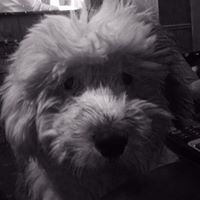 Gerard Nolan Photo 37