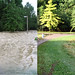 Lisa Flood Photo 10