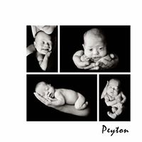 Sandy Reynolds Photo 11 Sandy Reynolds Photo 11