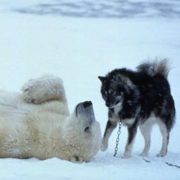 Loretta Sanchez Photo 13 Loretta Sanchez Photo 13