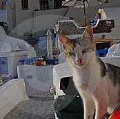 Elizabeth Miles Photo 43 Elizabeth Miles Photo 43