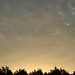 Dawn Hopkins Photo 33