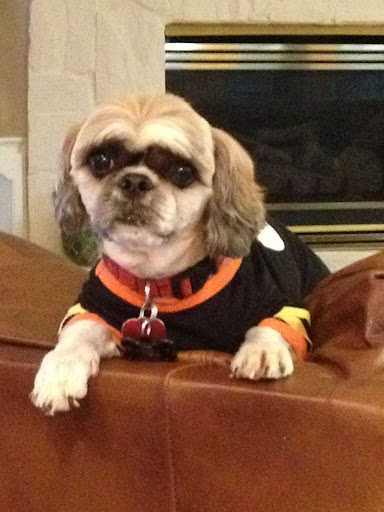 Stephanie Lawson Photo 12