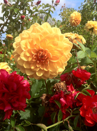 Christine Kimball Photo 7