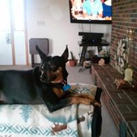 Nancy Rausch Photo 12