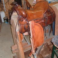 Chad Seibel Photo 10