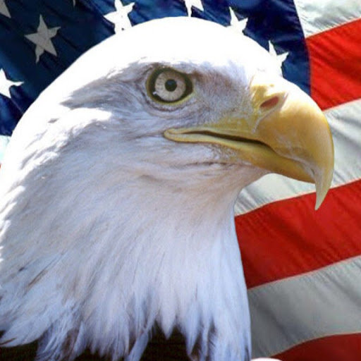 Gene Potter Photo 31