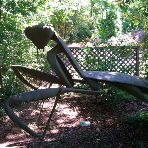 Nancy Schafer Photo 36