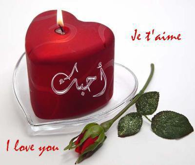 Shamim Mirza Photo 18
