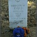 Meredith Barnett Photo 28