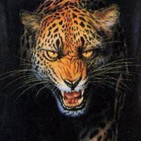 Randy Lange Photo 38