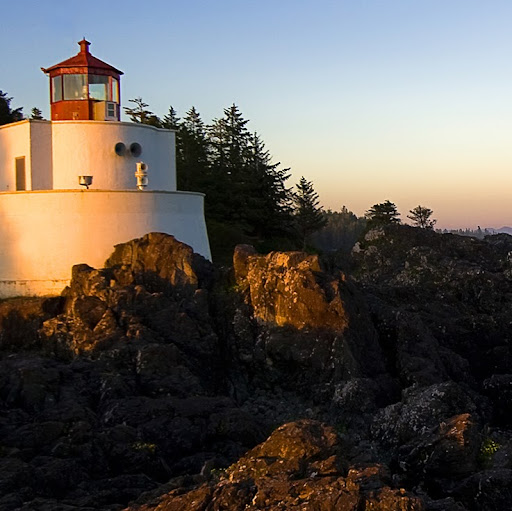 Julie Knapp Photo 33