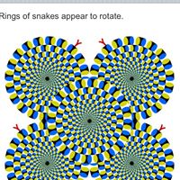 Stanley Ross Photo 29