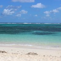 Sandi Cummings Photo 19