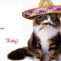 Christine Odom Photo 18