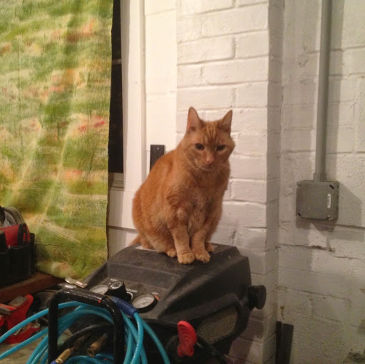 Eddie Hayes Photo 12