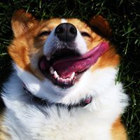 Sadie Jenkins Photo 21