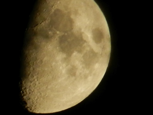 Salvatore Ranieri Photo 2