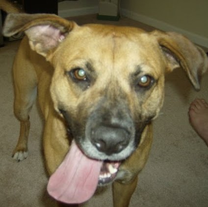 Billy Osborne Photo 12