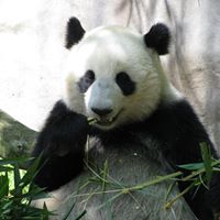 Catherine Phipps Photo 10