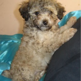 Cindy Corbett Photo 19