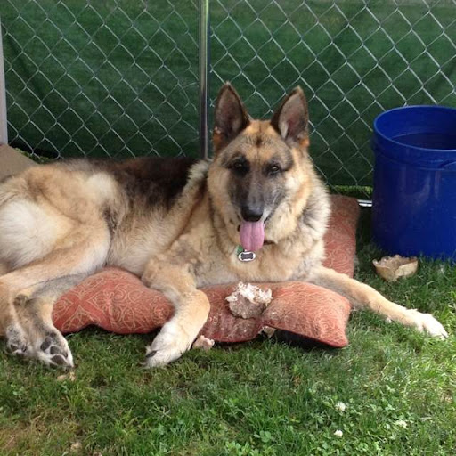 Scott Lange Photo 14