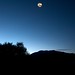 Dawn Arroyo Photo 22