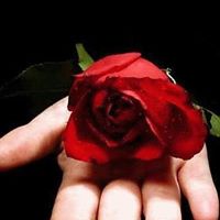 Julie Dumas Photo 14