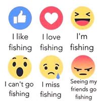 Dale Mclaughlin Photo 9