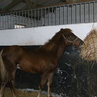 Nancy Malcolm Photo 20