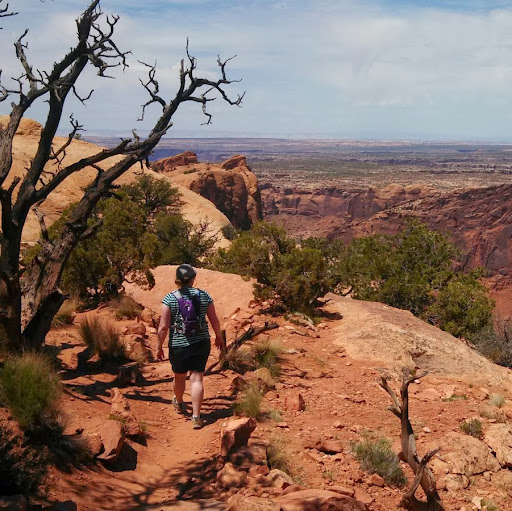 Cheryl Stephenson Photo 10