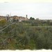 Andrea Greve Photo 20