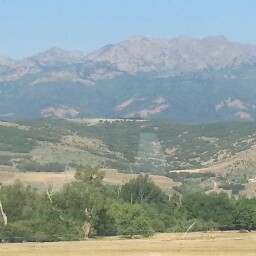 Patricia Grogan Photo 31