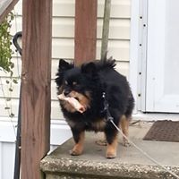 Janice Whiteside Photo 11