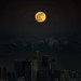 Kenneth Wolf Photo 28