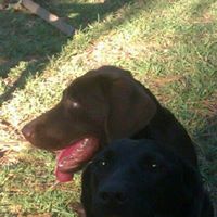 Melissa Mccrary Photo 13