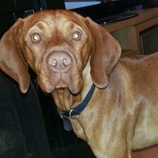 Louise Curtis Photo 18