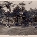 William Peek Photo 30