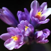 Anne Sherman Photo 27