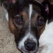 Catherine Atkins Photo 7